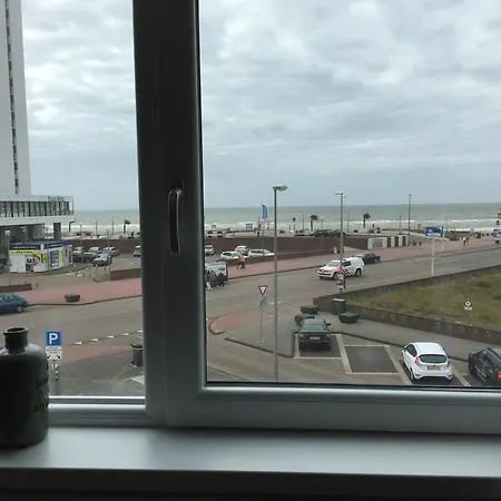 Drommel * Zandvoort